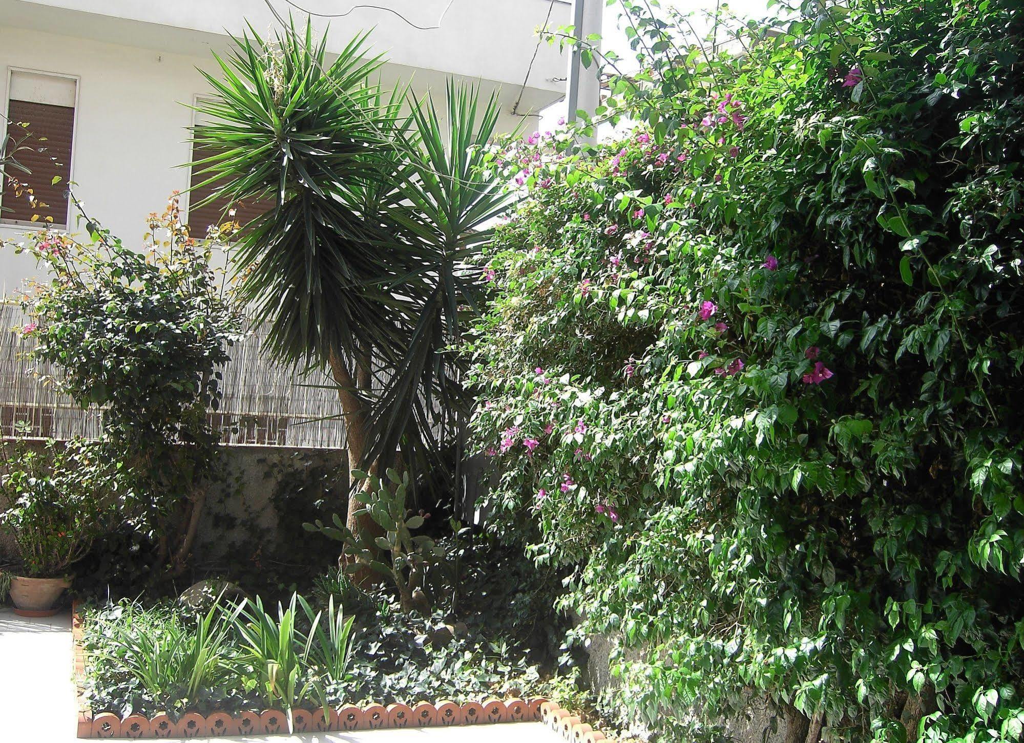 Etna Inn Motta SantʼAnastasia Εξωτερικό φωτογραφία